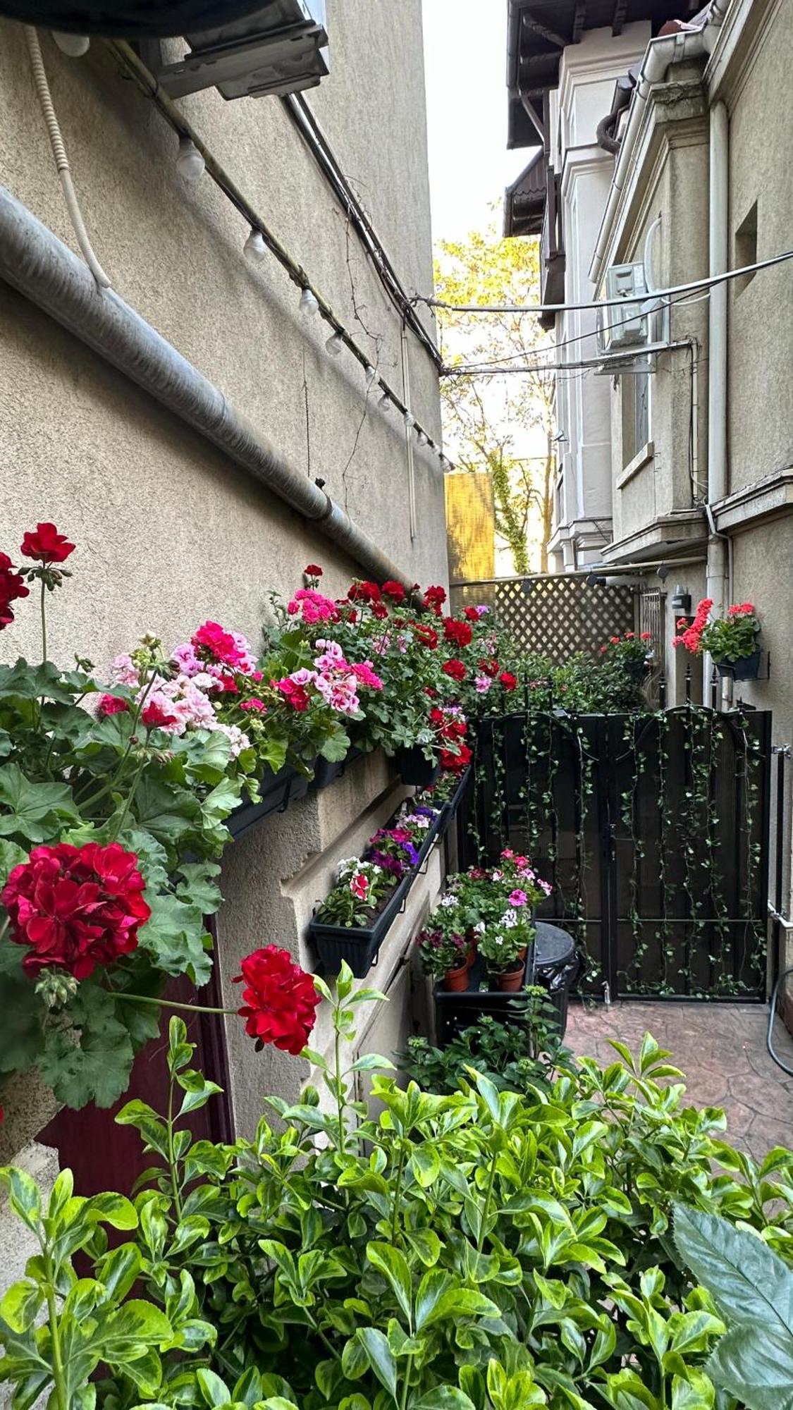 Casa De Povesti - Calea Victoriei Apartment Bucureşti Exterior foto